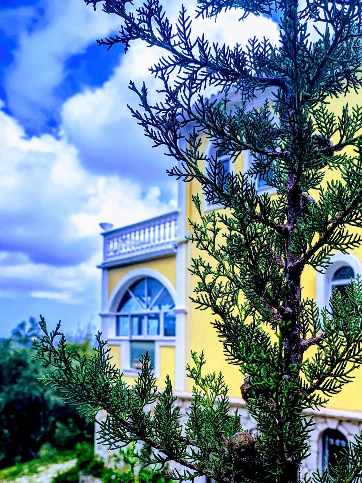 Vila Kalielaia Mouzákion Exteriör bild